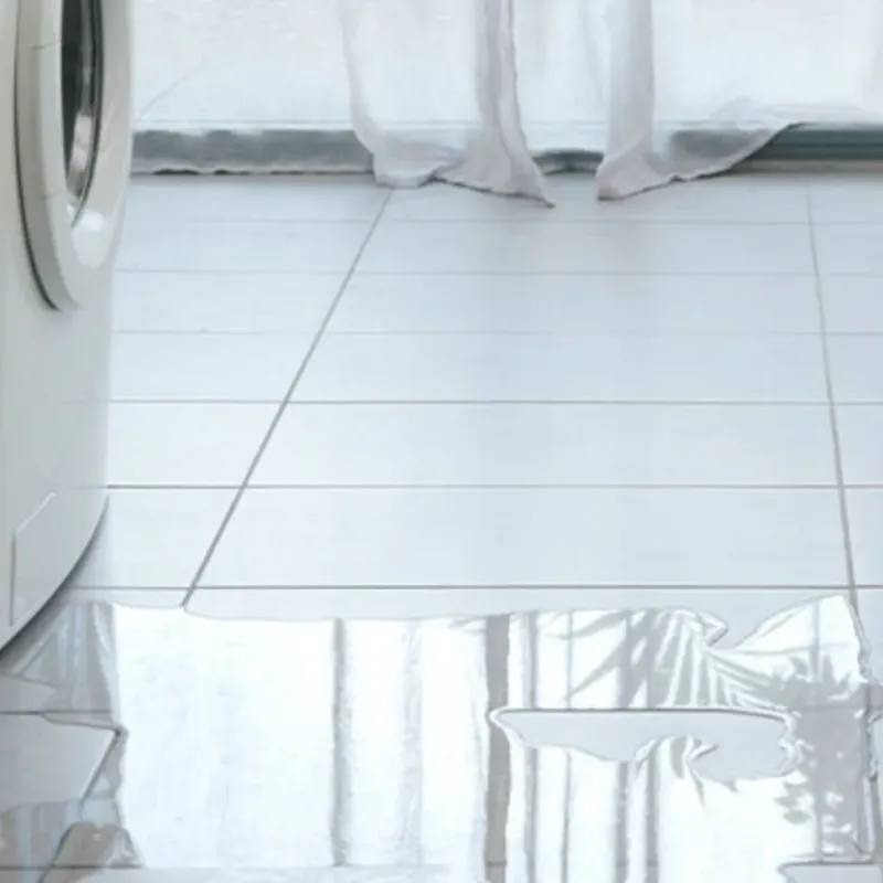 Appliance Leak Cleanup in Brazoria, TX