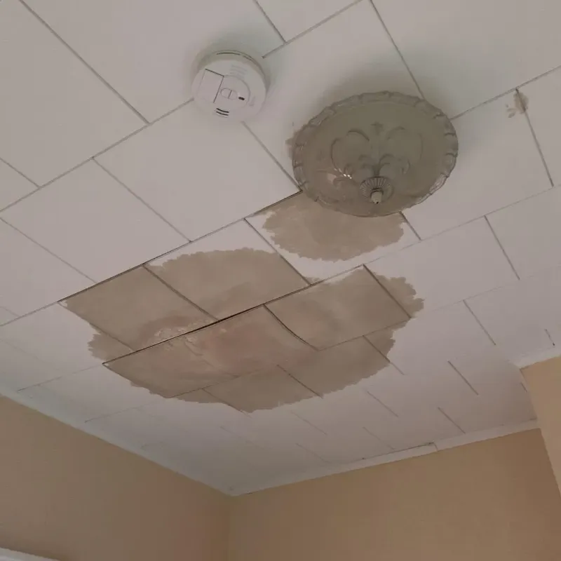 Ceiling Water Damage Repair in Brazoria, TX